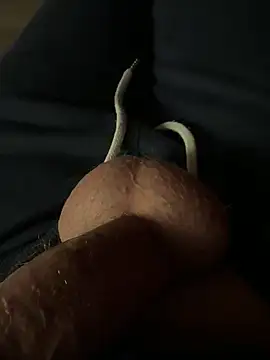 Snapshot of rambetto21 chatting on 12-17-25, 07:53 rambetto21 online show from 12-17-25, 07:53