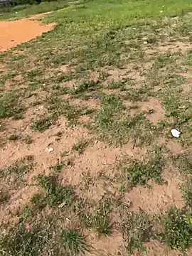 Black-mamba-madingo online show from 02-14-26, 08:55