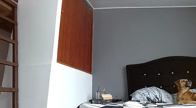 Emilia 1995 online show from 03-16-25, 06:23