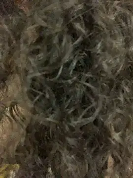 Snapshot of Antoniart_ chatting on 02-09-25, 06:54 Antoniart online show from 02-09-25, 06:54