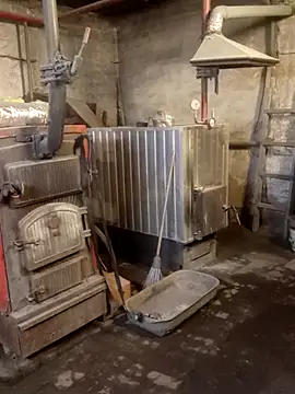 MityaXLoves online show from 10-31-25, 05:58