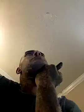 Snapshot of Houstonslong1 chatting on 09-17-25, 08:38 Houstonslong1 online show from 09-17-25, 08:38