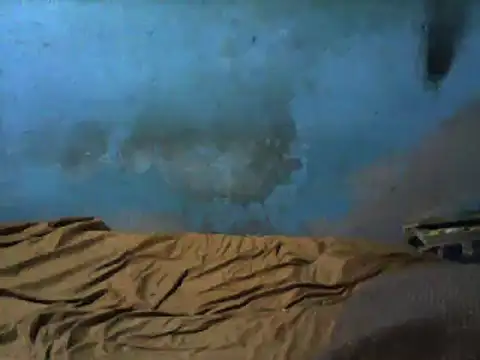 little  joy online show from 03-01-25, 02:37