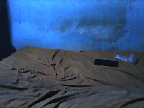 little  joy online show from 11-30-25, 10:03