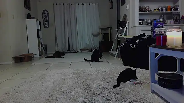 CrystalLakeXO online show from 10-19-25, 07:42