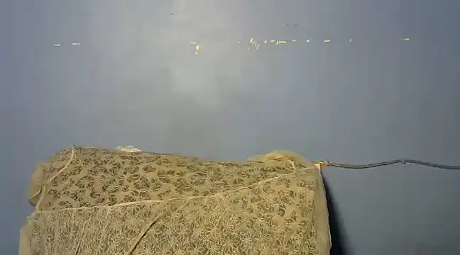 shishbabe online show from 03-04-25, 04:49