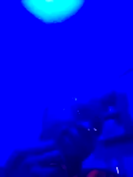 Brian johns online show from 03-23-26, 09:08