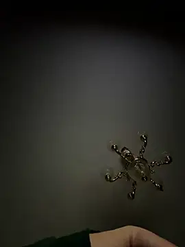 Jose rz online show from 03-23-26, 06:50