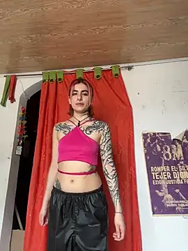  Artemisa X online show from 02-20-25, 06:57