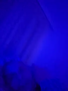 denisxlRo online show from 03-16-25, 08:11