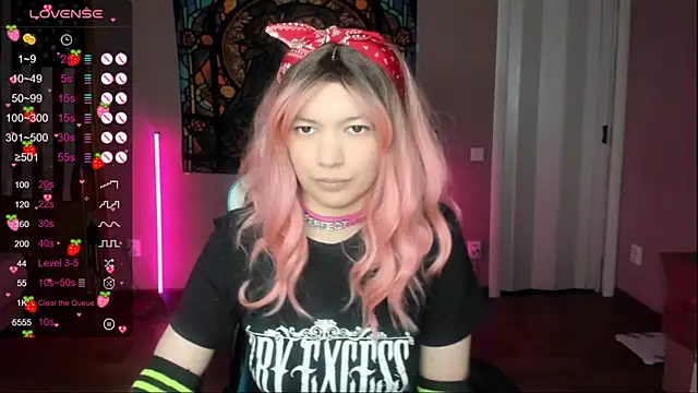 Project hisoka online show from 01-05-26, 05:27