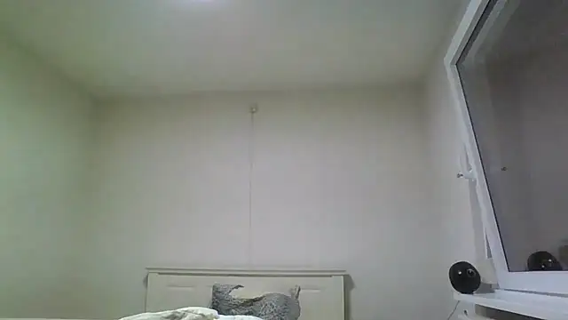 Snapshot of Wesleymodel chatting on 02-10-26, 07:18 Wesleymodel online show from 02-10-26, 07:18