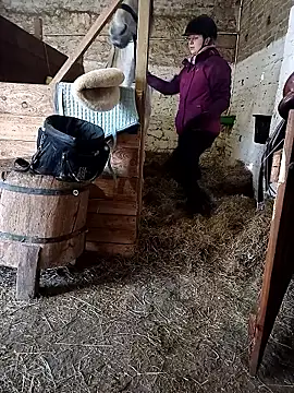 Tortuga95PL online show from 02-05-26, 09:14