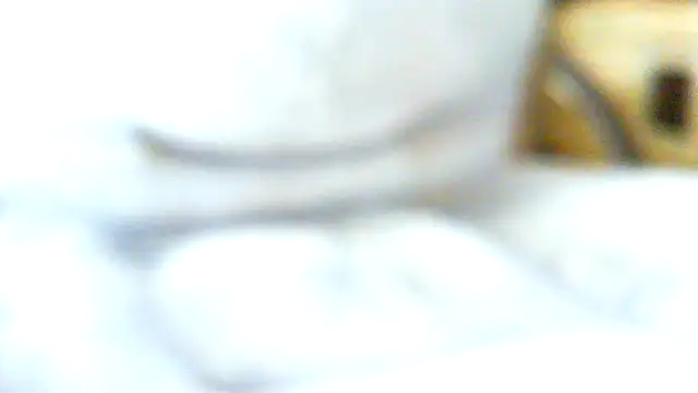 volficxh online show from 04-05-26, 08:44