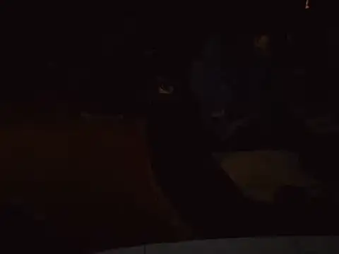 0815lukas2024 online show from 01-16-25, 06:59