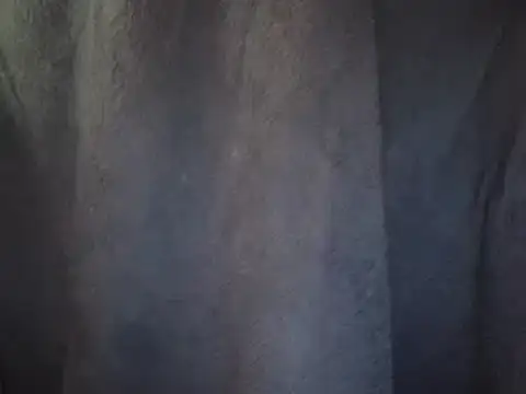 0815lukas2024 online show from 02-26-25, 01:19