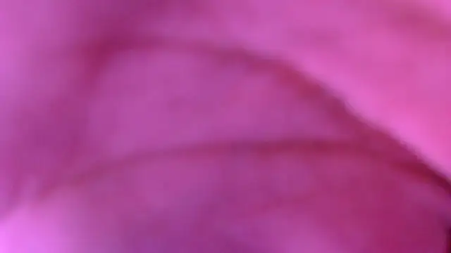 xxxxxchiaratsxxxxx online show from 03-08-26, 02:04