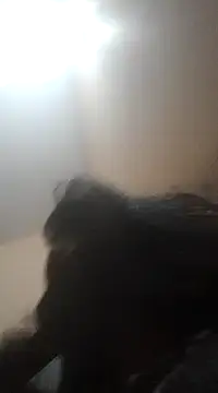 Snapshot of Sajal-03 chatting on 12-01-24, 04:51 Sajal-03 online show from 12-01-24, 04:51