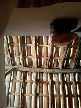 luissilva0071 online show from 02-24-26, 12:25