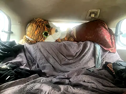 SlimeCrownzOut5 online show from 11-18-25, 06:01