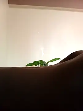 Snapshot of JemaimaPrincess chatting on 03-04-25, 08:24 JemaimaPrincess online show from 03-04-25, 08:24