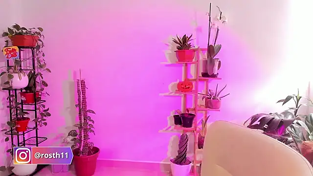 rossth1 online show from 11-14-25, 08:51