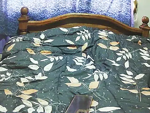 Snapshot of DiAntool chatting on 11-08-25, 07:56 DiAntool online show from 11-08-25, 07:56