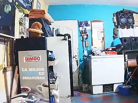 Snapshot of DiAntool chatting on 01-18-26, 05:44 DiAntool online show from 01-18-26, 05:44