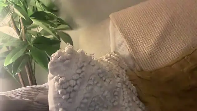 toptugger online show from 10-17-25, 07:27