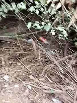 RockyNonStop online show from 12-24-24, 02:43