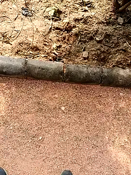 RockyNonStop online show from 01-19-25, 07:04