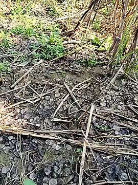 RockyNonStop online show from 02-11-25, 04:55