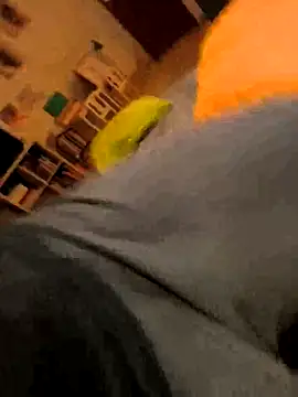 onbifeet online show from 10-09-25, 06:17