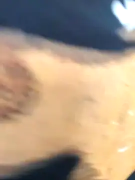 martinna tay online show from 03-01-26, 03:19