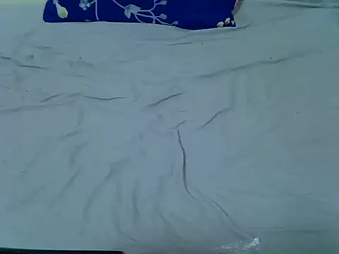 Snapshot of pointy_bloom chatting on 04-01-26, 11:24 pointy bloom online show from 04-01-26, 11:24