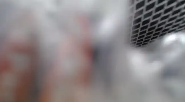 Snapshot of Lovensetest chatting on 02-26-25, 07:09 Lovensetest online show from 02-26-25, 07:09