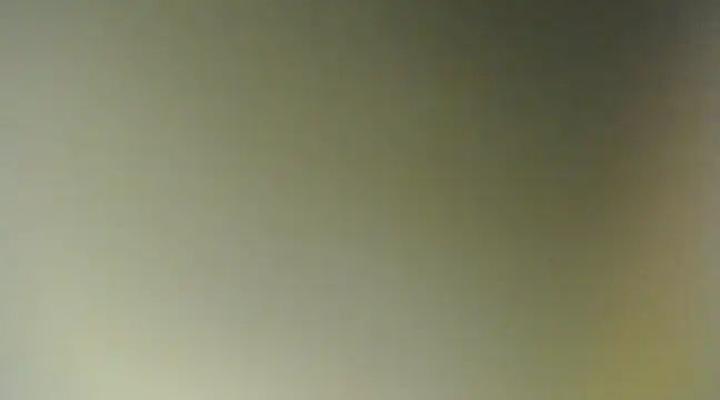 Snapshot of Lovensetest chatting on 03-11-25, 11:55 Lovensetest online show from 03-11-25, 11:55