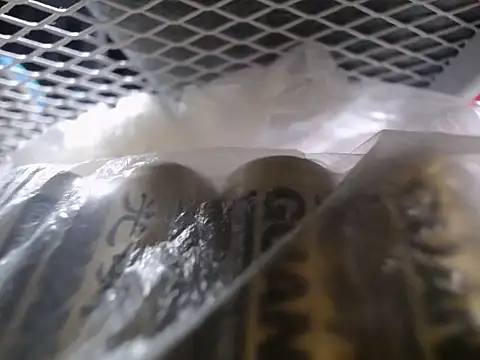 Snapshot of Lovensetest chatting on 09-30-25, 07:35 Lovensetest online show from 09-30-25, 07:35