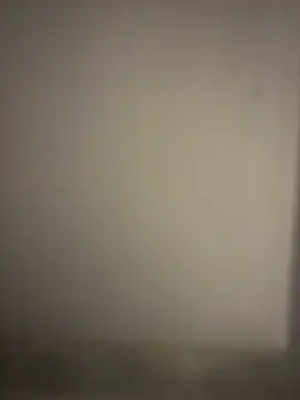 orient zob online show from 01-07-26, 02:47