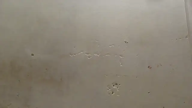 curvysexybody online show from 01-16-26, 09:41