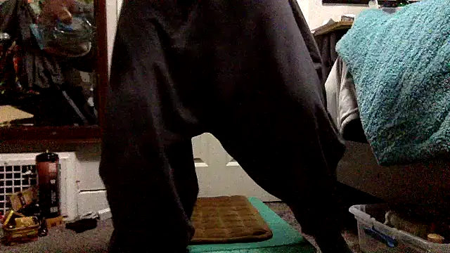 Robriguezxxx online show from 12-26-24, 07:56