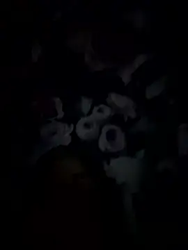 palorid online show from 01-14-26, 09:31