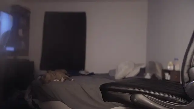 flexingplexico online show from 03-01-25, 11:17