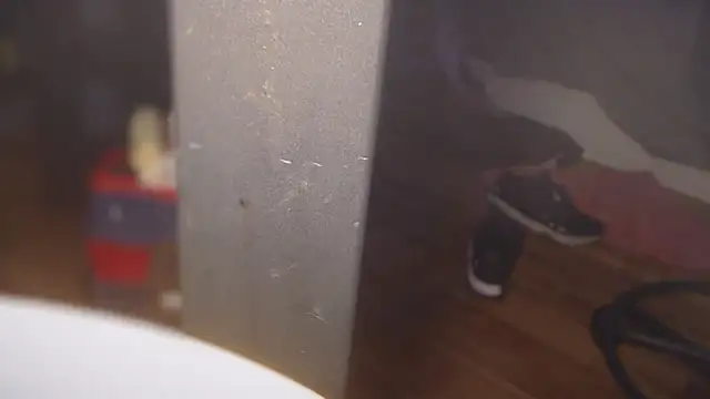 flexingplexico online show from 03-01-25, 05:27