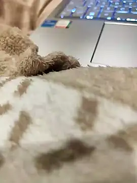 Bemgalado online show from 01-03-25, 08:22