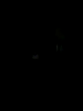 Off the Lesh online show from 10-15-25, 07:19