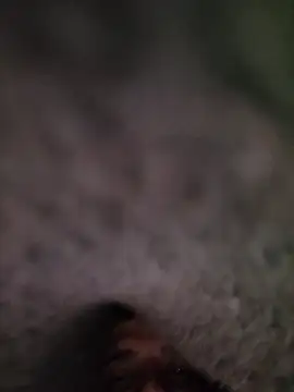 Casablancabig online show from 03-18-25, 12:27