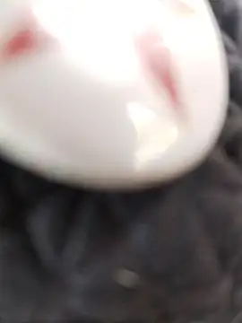 Snapshot of taaylor33 chatting on 02-27-26, 08:20 taaylor33 online show from 02-27-26, 08:20