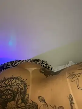 TigrezaSC online show from 02-06-25, 07:56