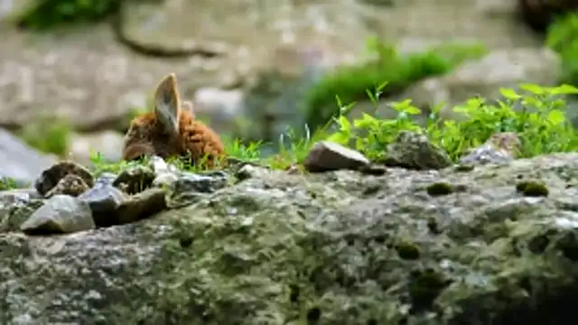 Snapshot of streamy_test13 chatting on 12-17-25, 09:59 streamy test13 online show from 12-17-25, 09:59